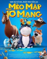 Mèo Mập Mang 10 Mạng